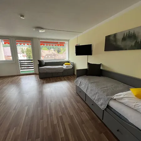 Domview Apartment St. Blasien Exterior foto