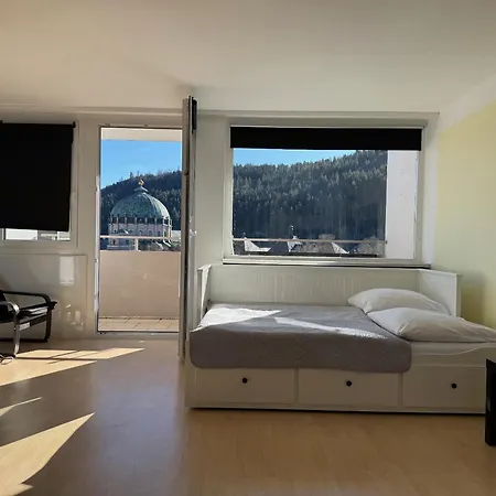 Domview Apartment St. Blasien Exterior foto