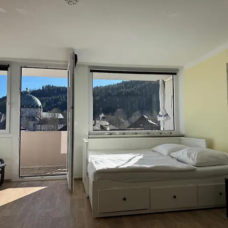 Domview Apartment St. Blasien Exterior foto