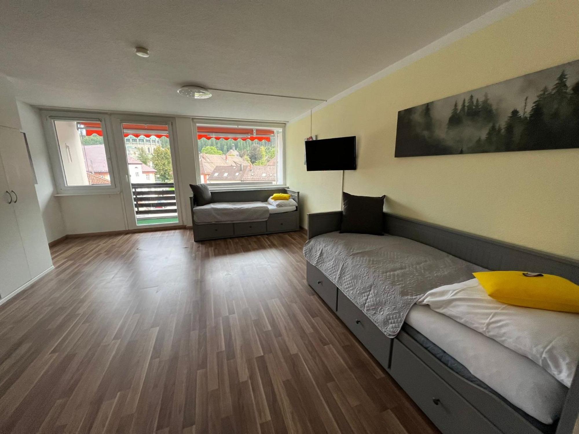 Domview Appartement St. Blasien